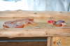 Timbercade-Gallery-16