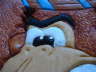 db_DSC010843