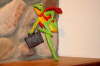 db_Main-Gallery-21