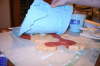 Molding 16